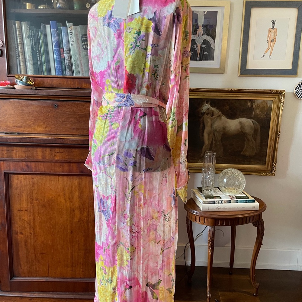 Rococo Sand NWT Sheer Maxi Dress - Picture 4 of 7
